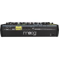 Moog Grandmother Semi-modüler Analog Synthesizer