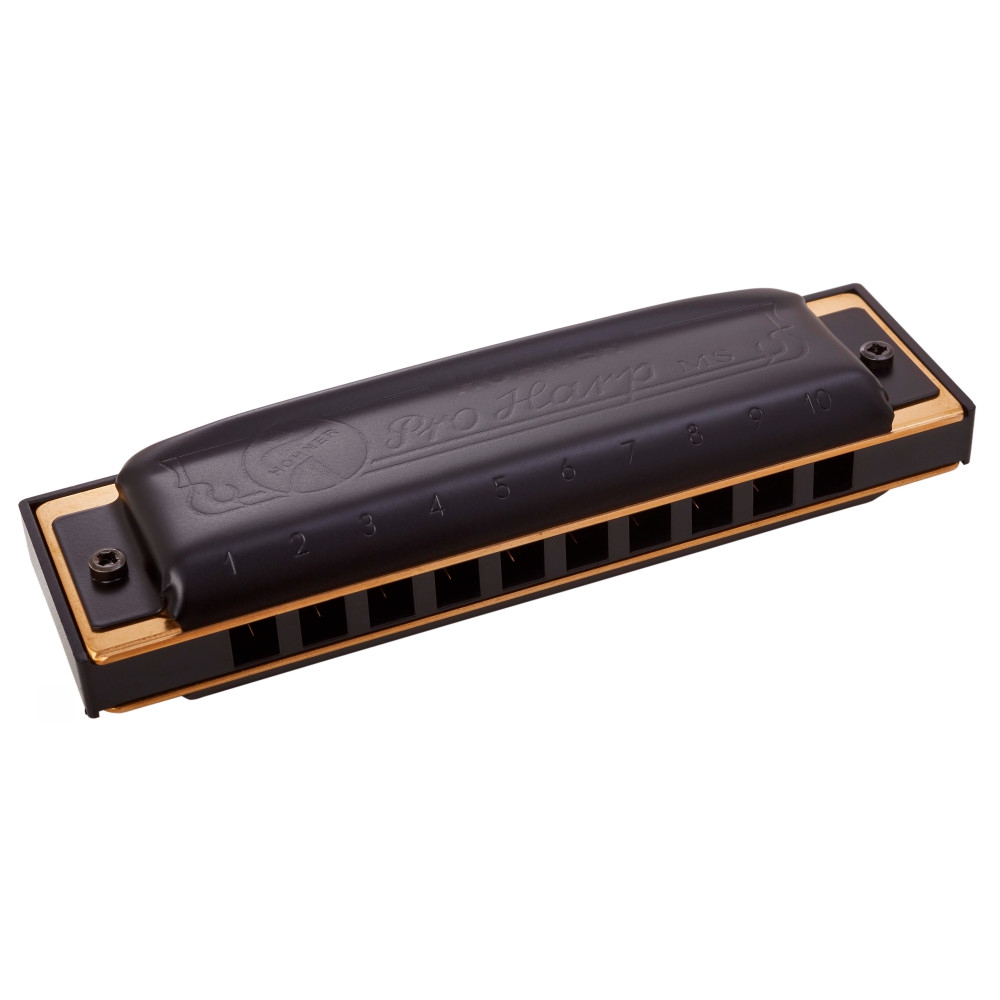Hohner Pro Harp F#-major Mızıka 1