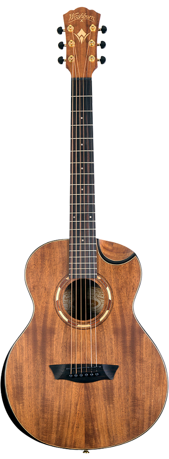 Washburn wcgm55k store