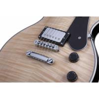 ​​​​​​Schecter Solo II Custom Elektro Gitar (Natural)