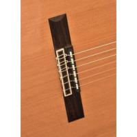 CAMPS CUT-900C PRO-BLEND ELEKTRO KLASİK GİTAR SEDİR KAPAK FISHMAN PREFIX PR