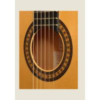CAMPS FL11C PRO-BLEND FLAMENCO ELEKTRO KLASİK GİTAR SPAIN CUTAWAY ELK. :
