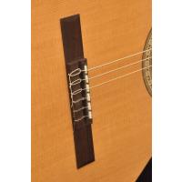 CAMPS NAC1 ECO ELEKTRO KLASİK GİTAR FISHMAN CLASSIC III