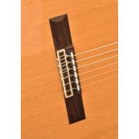 CAMPS NAC2-C ELEKTRO KLASİK GİTAR FISHMAN CLASSIC III
