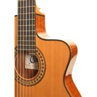 CAMPS NAC4 ELEKTRO KLASİK GİTAR SEDİR KAPAK FISHMAN PRO BLEND