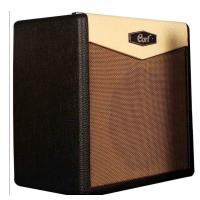CORT CM30R AMFİ ELEKTRO 30W