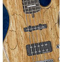 CORT GB5-CUSTOM NATW BAS GİTAR, ÇANTALI, NATÜREL PARLAK, Seymour Duncan