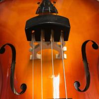 CREMONIA CMUTE523 CELLO SUSTURUCUSU
