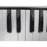 CREMONIA CR32BK MELODİKA 32 TUŞLU SİYAH RENK EVA ÇANTALI