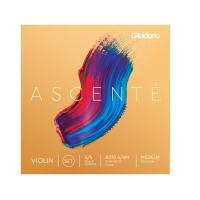 DADDARIO A310 4/4M KEMAN TEL SETİ, ASCENTE, SCALE 4/4, MEDIUM TENSION