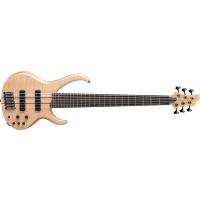 IBANEZ BTB1306ENTF BAS GİTAR KUTULU 6 TELLİ :IBANEZ KORE