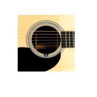 PLANETWAVES PWCT15 NS SOUNDHOLE TUNER