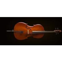 VALENCIA CE160G14 CELLO +KILIF+YAY, GERMAN SYS, SCALE 1/4, KARARTILM