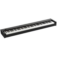 KORG D1