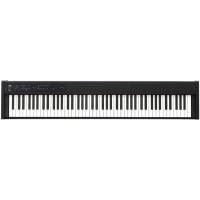 KORG D1