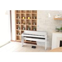 Korg LP-180 Dijital Piyano-WH