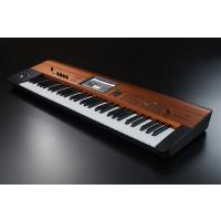 Korg KROME EX-61 COPPER