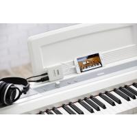 plugKEY