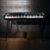 Korg SV2-73
