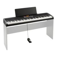 Korg XE20