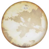 BENDİR ERBANE ARBANE 53CM HALKALI AYARSIZ KILIF HEDİYELİ (DB53H)