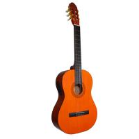 Elektro Klasik Gitar Pagani PG44EQ