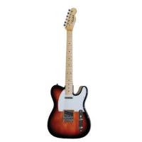 Gitar Elektro EC9401