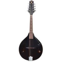 MANDOLİN PROFESYONEL EXTREME (XM60BK)