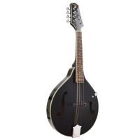 MANDOLİN PROFESYONEL EXTREME (XM60BK)