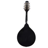MANDOLİN PROFESYONEL EXTREME (XM60BK)