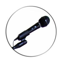 Mikrofon Standı MS100B