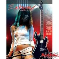 Poster Extreme ZZP2
