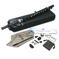 Yan Flüt Nuvo Okul Set Siyah/Çelik N210SFBK