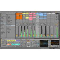 ABLETON Live V11 Suite