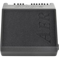 Aer 360 Compact 60 Slope Akustik Gitar Amfi