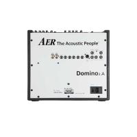 AER Domino 2A Akustik Gitar Amfi