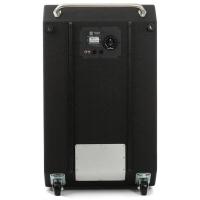 Ampeg SVT-610HLF Extnd Lows Bas Gitar Kabini