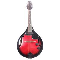 Angel AMD11-E Elektro Mandolin