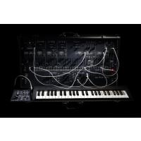 ARP 2600 FS
