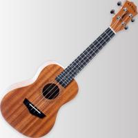 Arrow MH10 Mahogany Concert Ukulele w/bag - ukulele