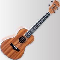 Arrow MH10 Mahogany PLUS Concert Ukulele w/bag