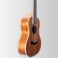 Arrow MH10 Mahogany PLUS Concert Ukulele w/bag