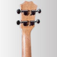 Arrow MH10 Sapele Concert Ukulele *SET*