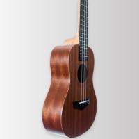 Arrow MH10 Sapele PLUS Concert Ukulele w/bag