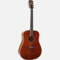 Arrow Platinium D MH/MH Mahogany/Mahogany   acoustic guitar