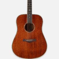 Arrow Platinium D MH/MH Mahogany/Mahogany   acoustic guitar