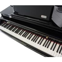 Artesia AG-50 Kuyruklu Dijital Piyano