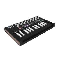 ARTURIA MiniLab MK II Inverted Edition
