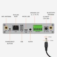 Arylic A30+ 30W x 2 WiFi Mini Stereo Amplifier