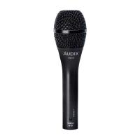 Audix VX10